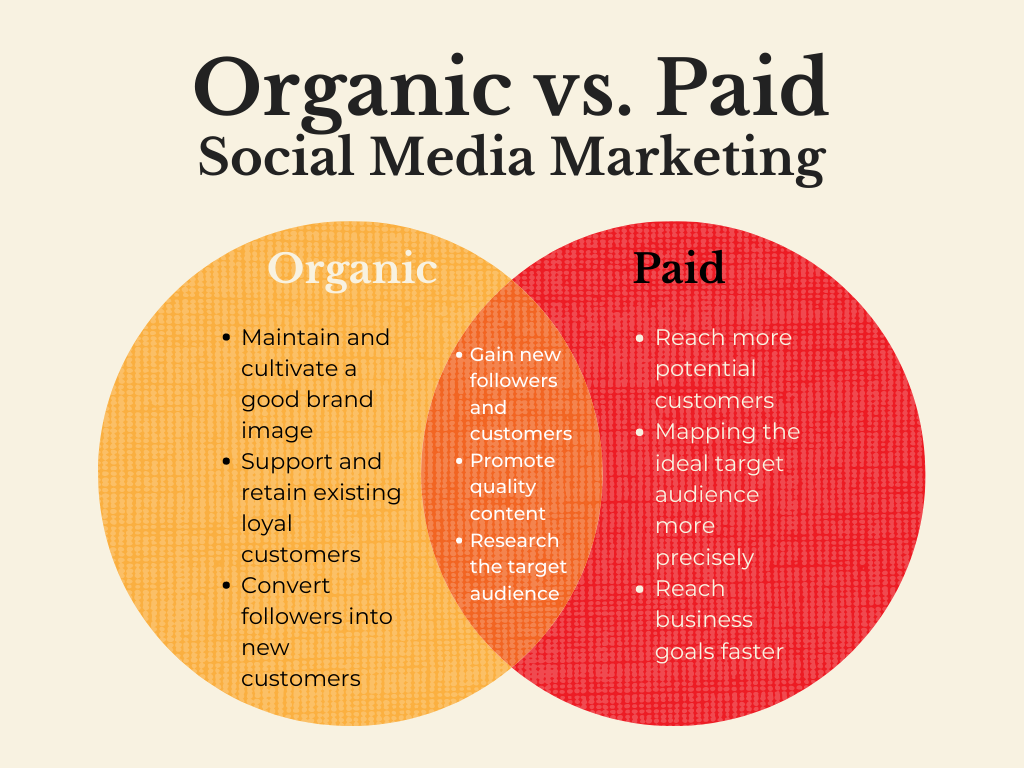 What-is-the-Difference-Between-Organic-and-Paid-Marketing.png